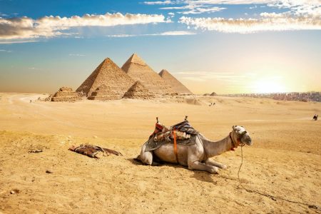 5 Days 4 Night’s Visit Cairo, Aswan, Abu Simbel / Cairo