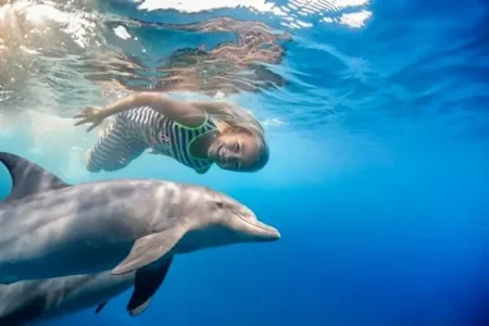 Hurghada Snorkeling Trip at Dolphins House