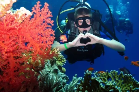 Hurghada Scuba Diving with Professionals, Lunch, Pick-up