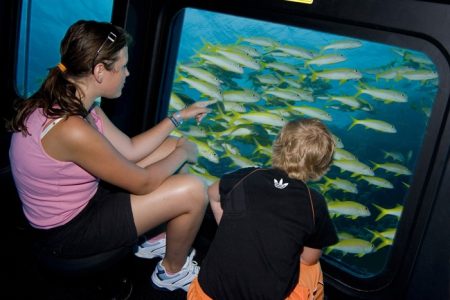 Glass Bottom Boat From All Sharm El Shiekh Hotels