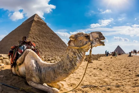 Explore the New Grand Egyptian Museum, Giza Pyramids